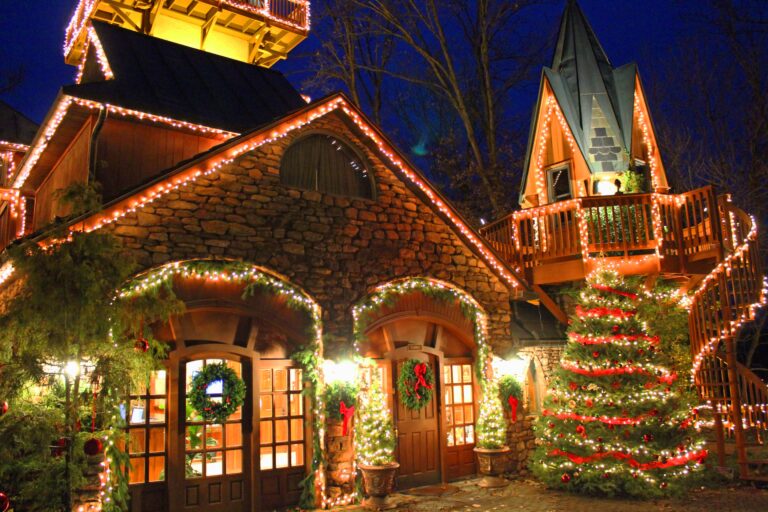 Christmas at the Castle, a Kingdom of Lights (Gate Pass) Christmas at the Castle, a Kingdom of Lights (Gate Pass)