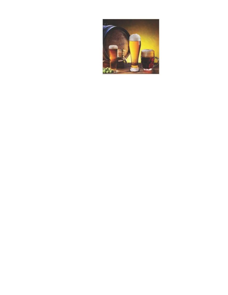 Germany’s Liquid Bread: A Refreshing Look at the History of Beer! Germany’s Liquid Bread: A Refreshing Look at the History of Beer!