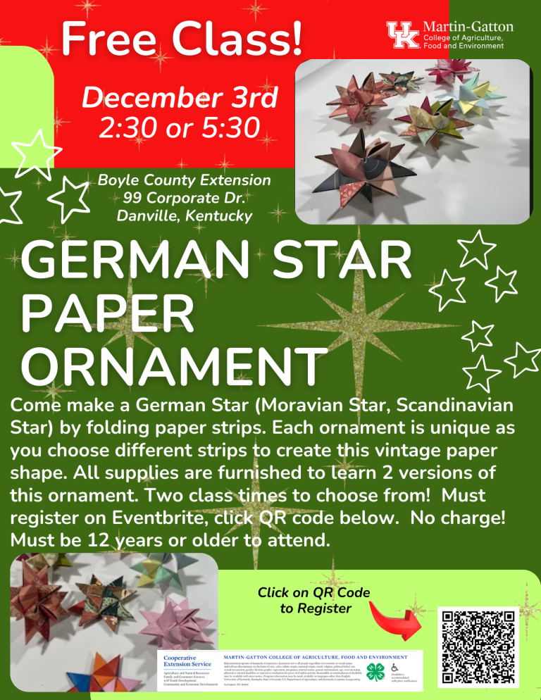 German Star Ornament German Star Ornament