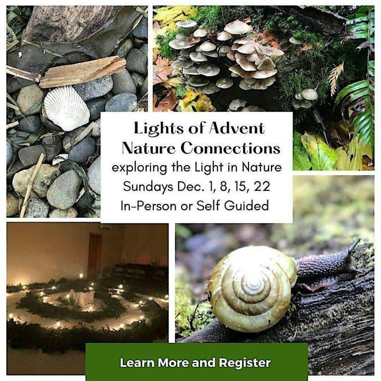 Lights of Advent Nature Connections Lights of Advent Nature Connections