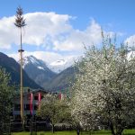 Beyond Oktoberfest: Discover Germany’s Regional Spring Festivals