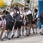 The Maibaum: Germany’s Maypole Tradition, Theft, Ransom, and All