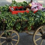 Vatertag: Why German Father’s Day Involves a Beer Wagon and a Hike Through the Woods