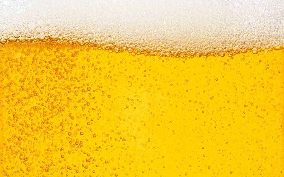 Oktoberfest 2026 — Meriden Turner Society at Twelve Percent Beer Project