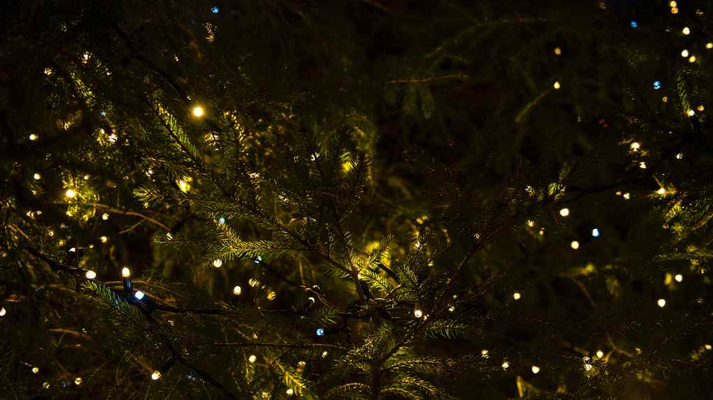 Mohican Christkindlmarkt 2026 — Loudonville