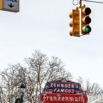 Zehnder's of Frankenmuth logo